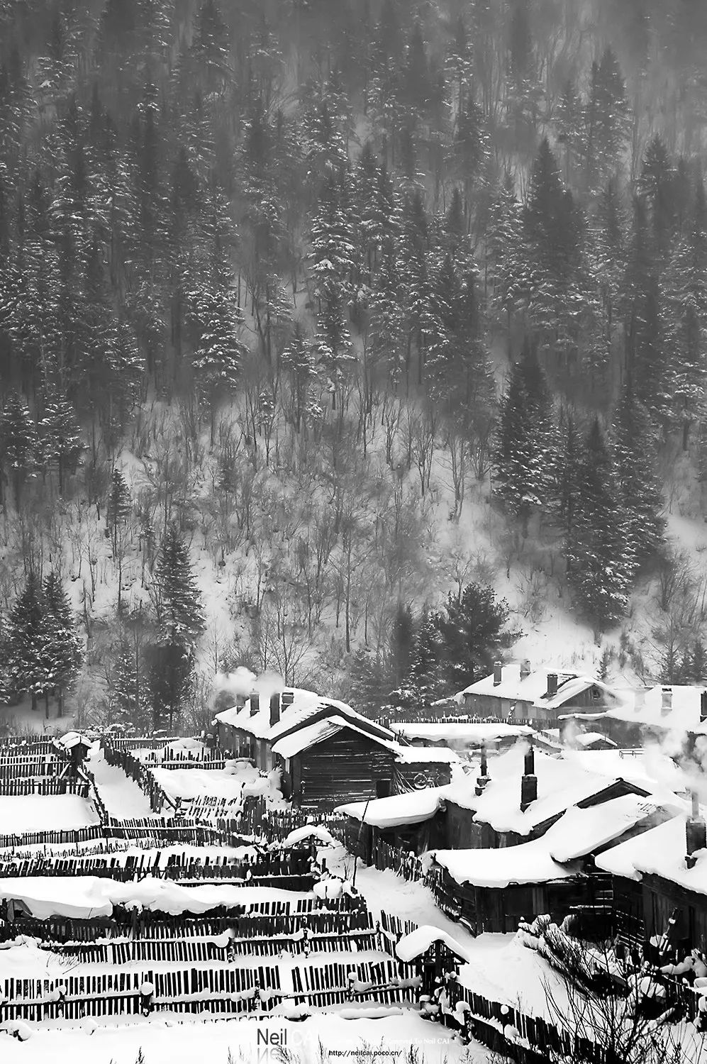 黑白摄影灰度,黑白摄影简约