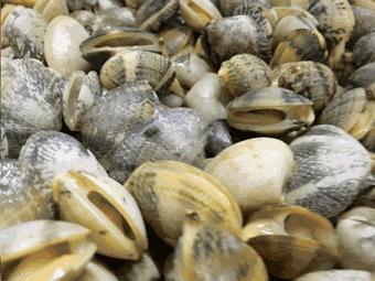 广州吃海鲜最便宜的地方2018年,广州的海鲜哪里又新鲜又便宜