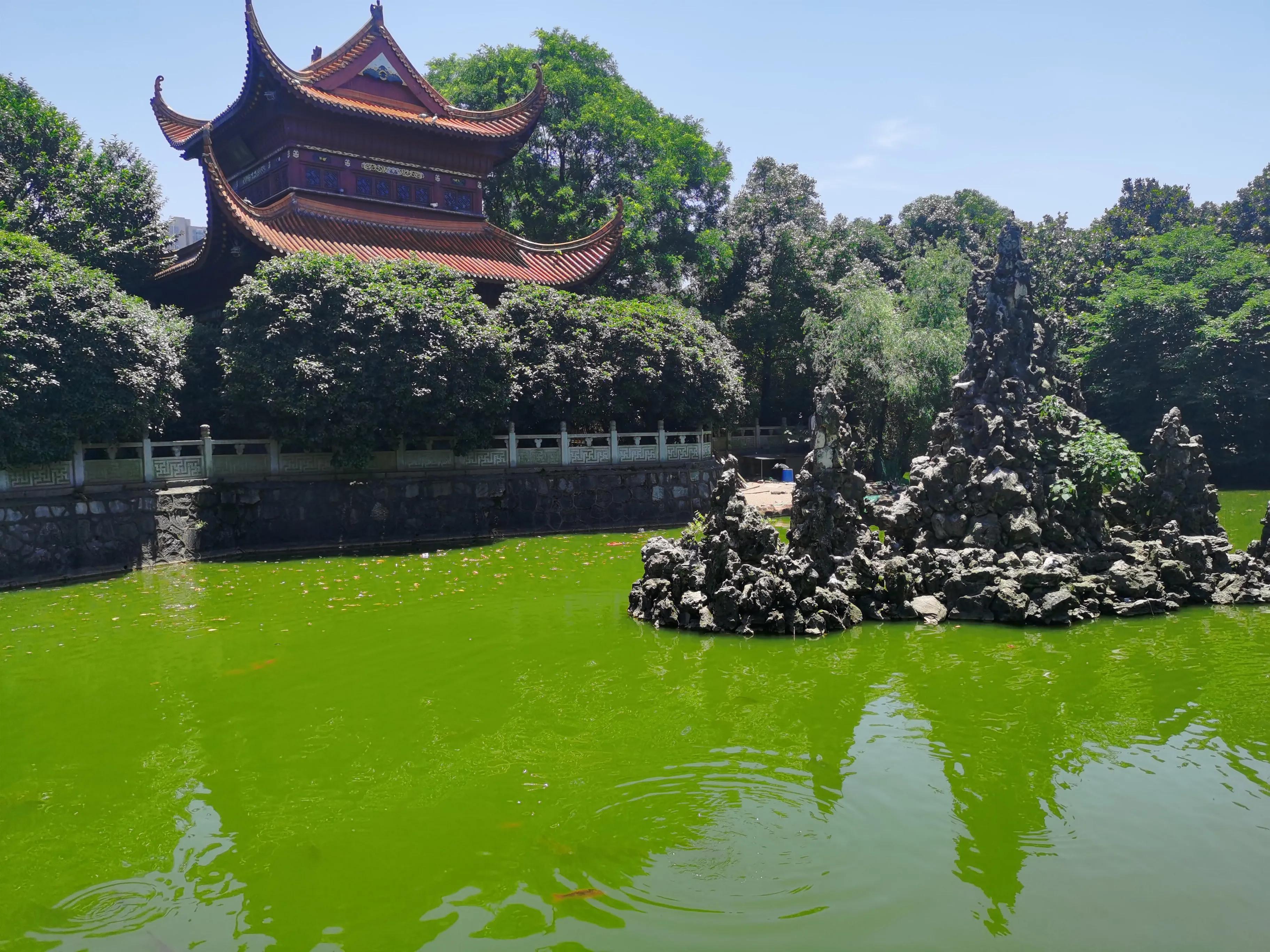 紫微栖凤碧浪潜龙是什么意思,紫微栖凤碧浪潜龙