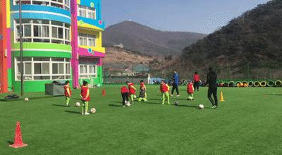 足球启蒙青训完整的训练课,青训日记