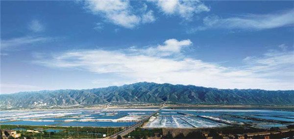 运城市简介500字,运城市职业技术学院简介