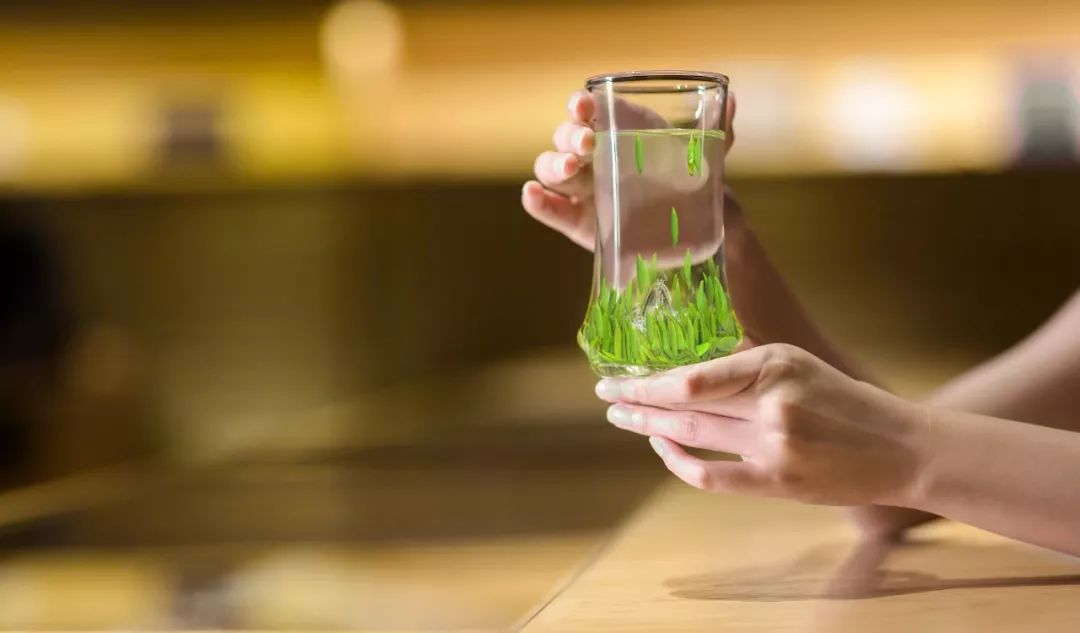 竹叶青的门店布置与运营,竹叶青高端绿茶河南总代理