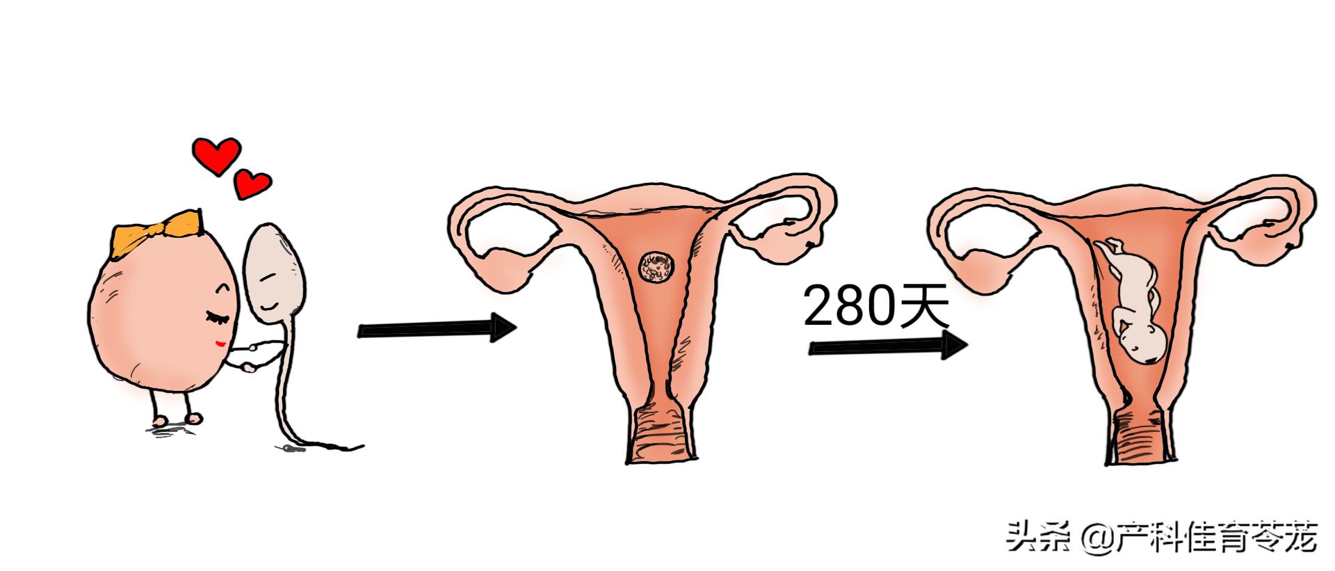 青少年性教育的重要性,青春期孩子性教育知识普及