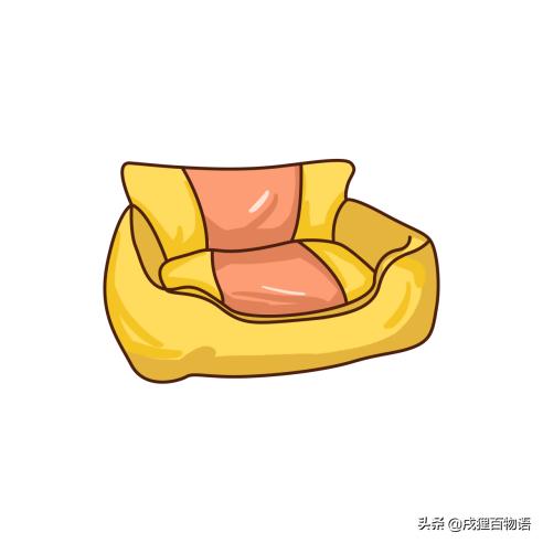 猫咪不睡窝喜欢睡床,猫窝猫咪不睡怎么办