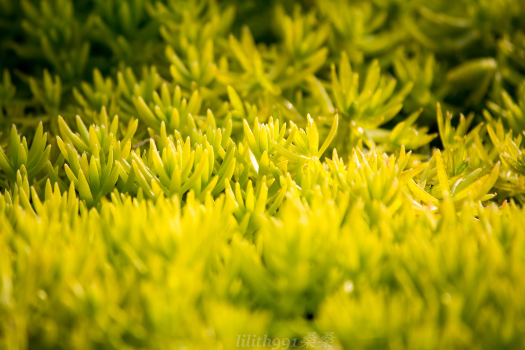 佛顶牛首山旅游攻略,牛首山佛顶宫和佛光山
