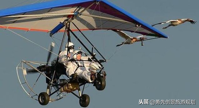 在乡村做什么可以赚钱,乡村旅游区做什么生意最合适