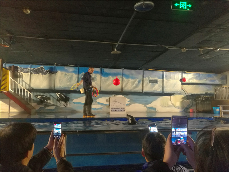 富国海底世界一日游,游富国海底世界