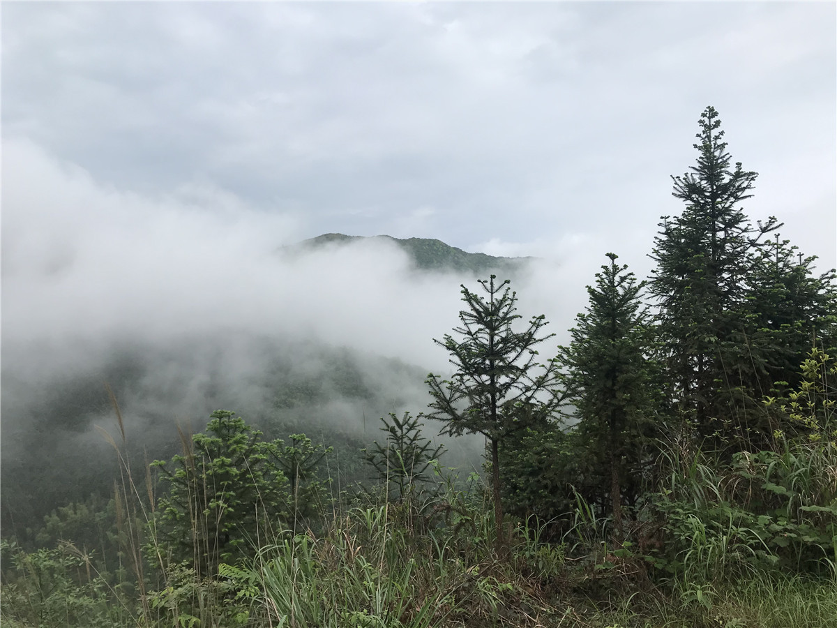 广西桂林摩托车骑行龙胜,广西桂林恭城摩托车行