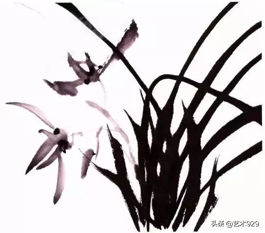 国画兰花画法免费技法教程,国画兰花绘画图