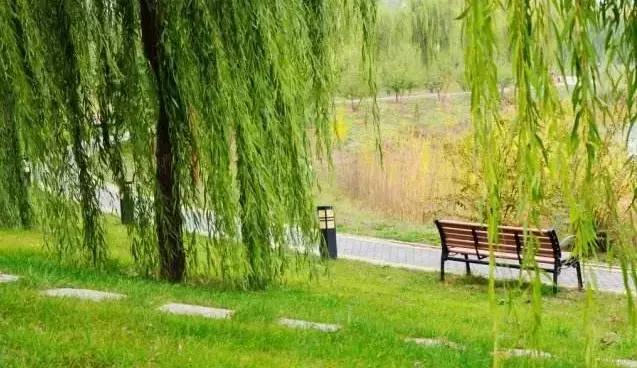 北京这38个森林公园您先收藏了!定个小目标,有空儿玩个遍!