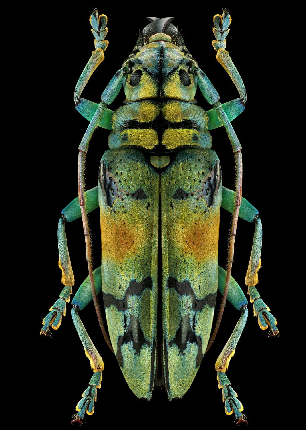 像素低提高像素能改变画质吗,像素和画质的说明