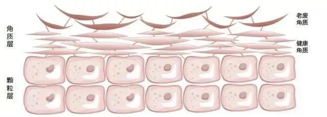 精华液的正确使用方法推荐,精华液的正确使用方法是怎样的