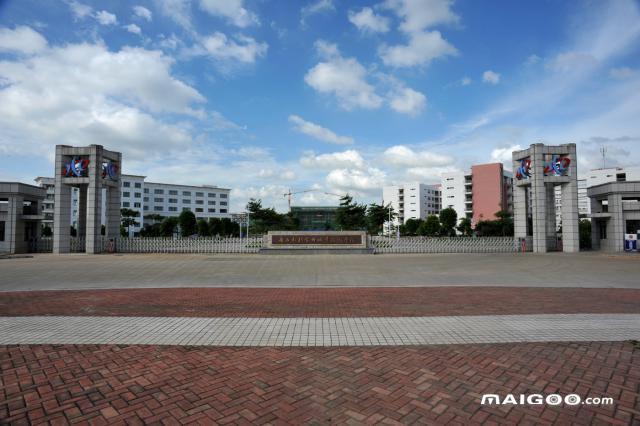 广西十大专科学校排名广西十大高职院校广西最好的十大专科院校