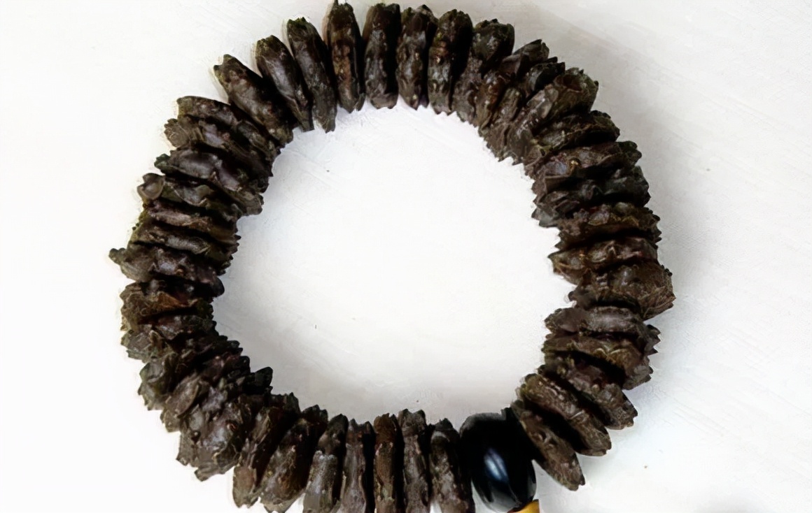 冷门菩提图片大全,比较少见的菩提