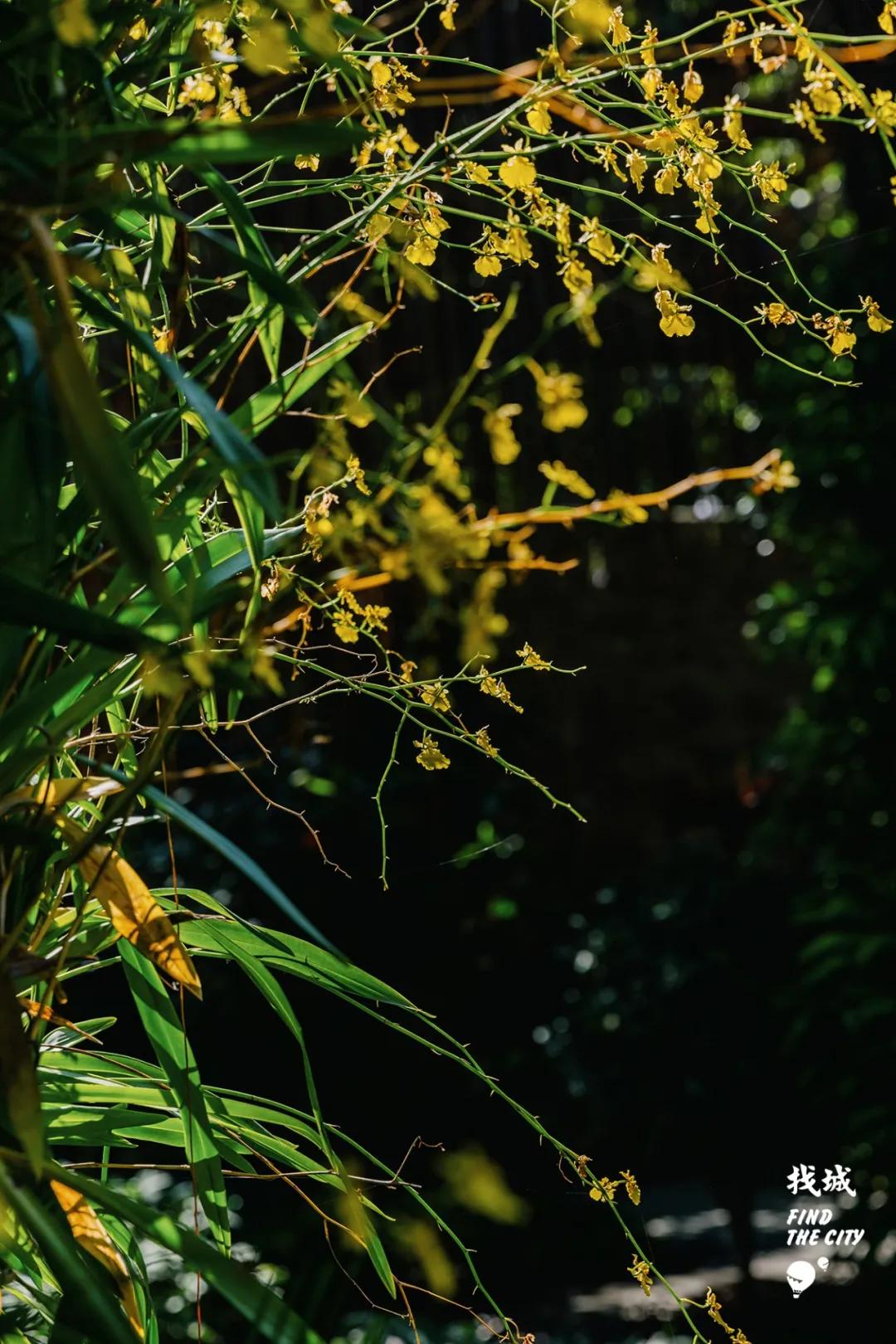 南宁人去隆安玩,南宁人去柳州玩