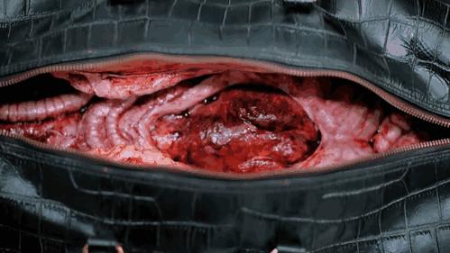 网络时代带来的变化和创新,网络时代带给我们的启示