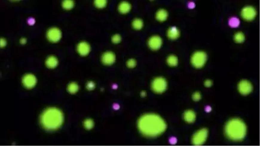 science十大科学突破,science2017全球十大科学突破