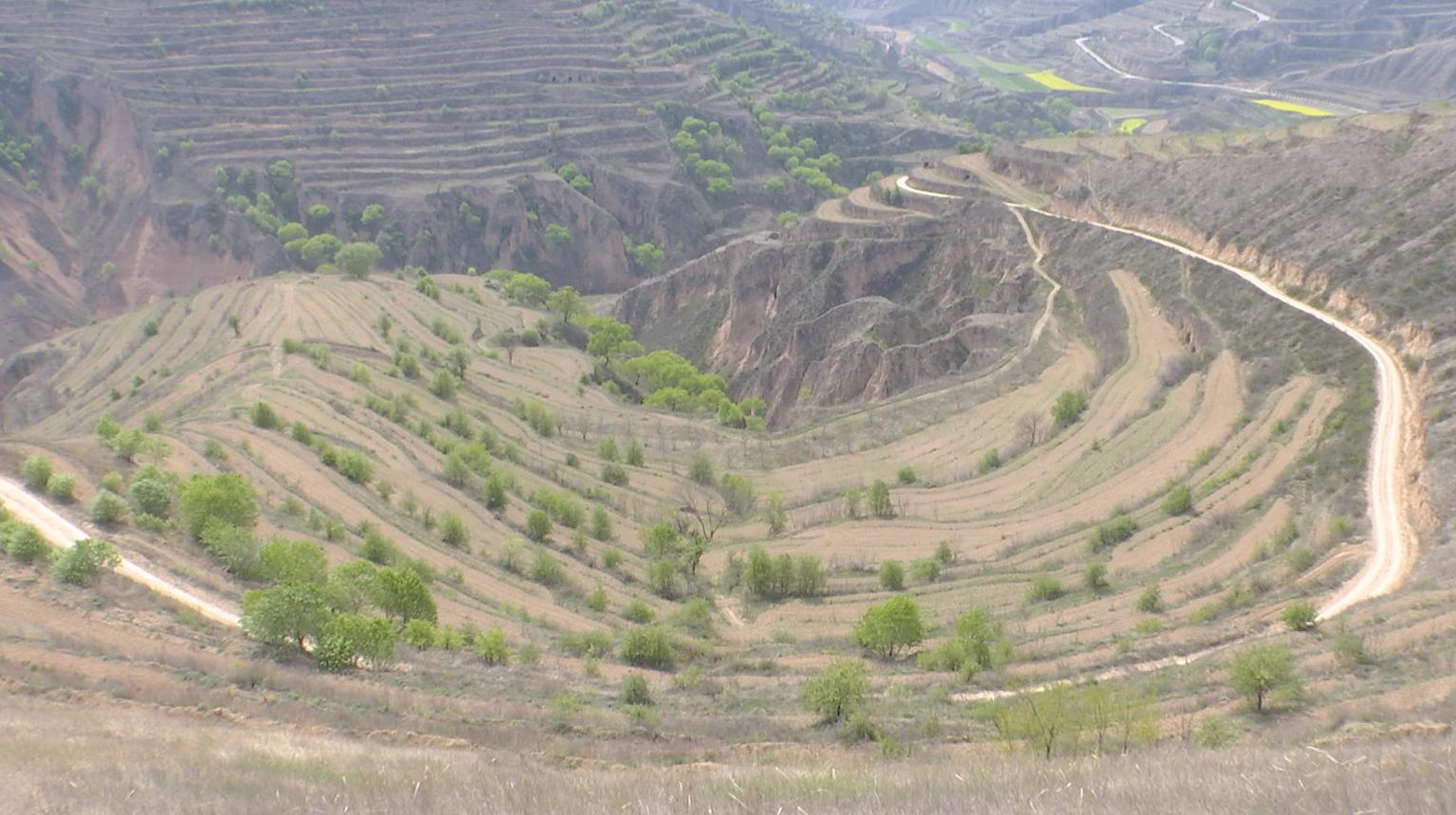 陕西三农农民合作社,陕西三家农民合作社