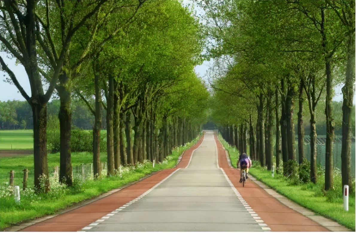 平安产险锡盟|远离超速:不同道路的限速规定,你可得知道