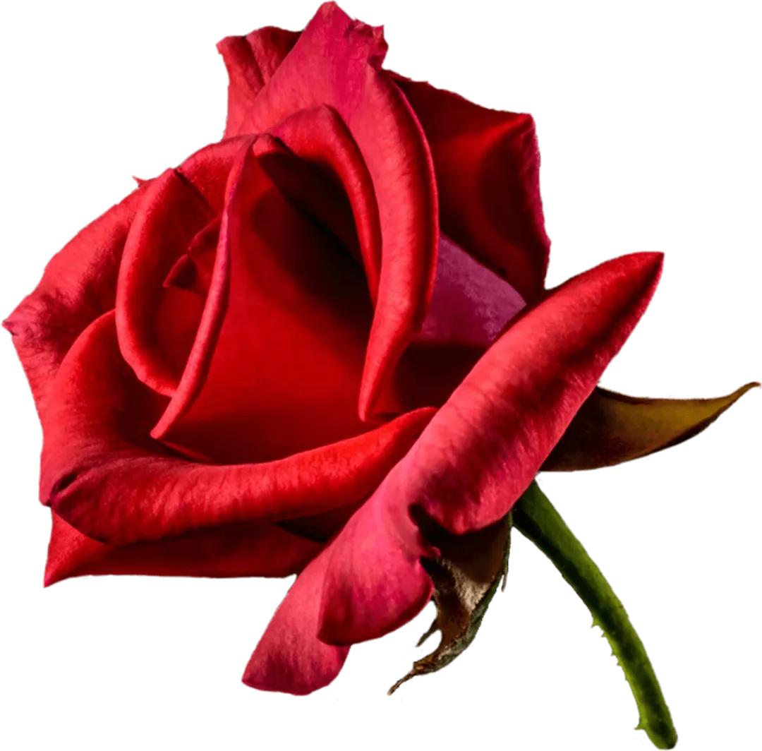 周边有什么可逛的地方吗,4月适合去哪儿旅游攻略