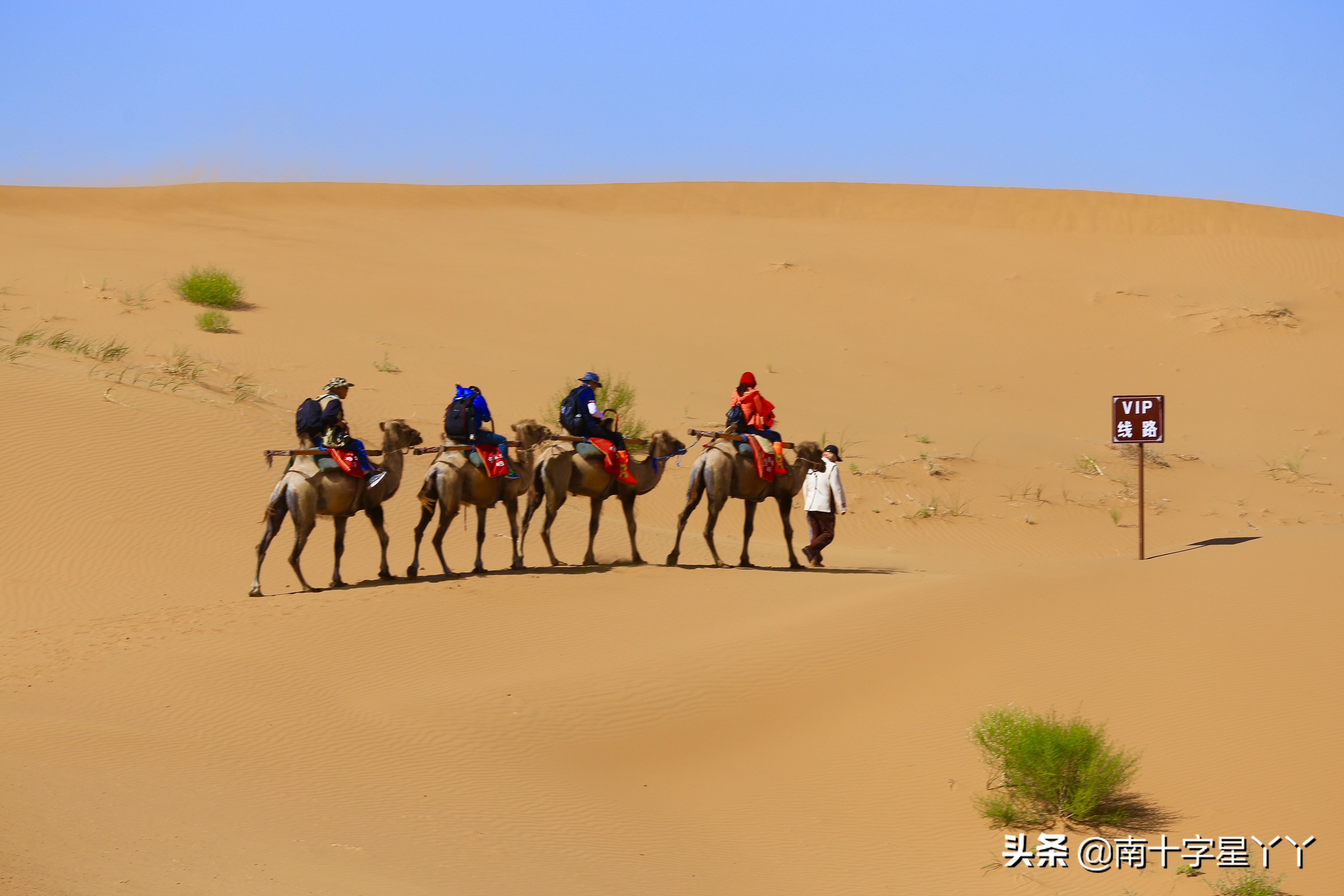 宁夏沙坡头沙漠美景,沙坡头沙漠区和黄河区