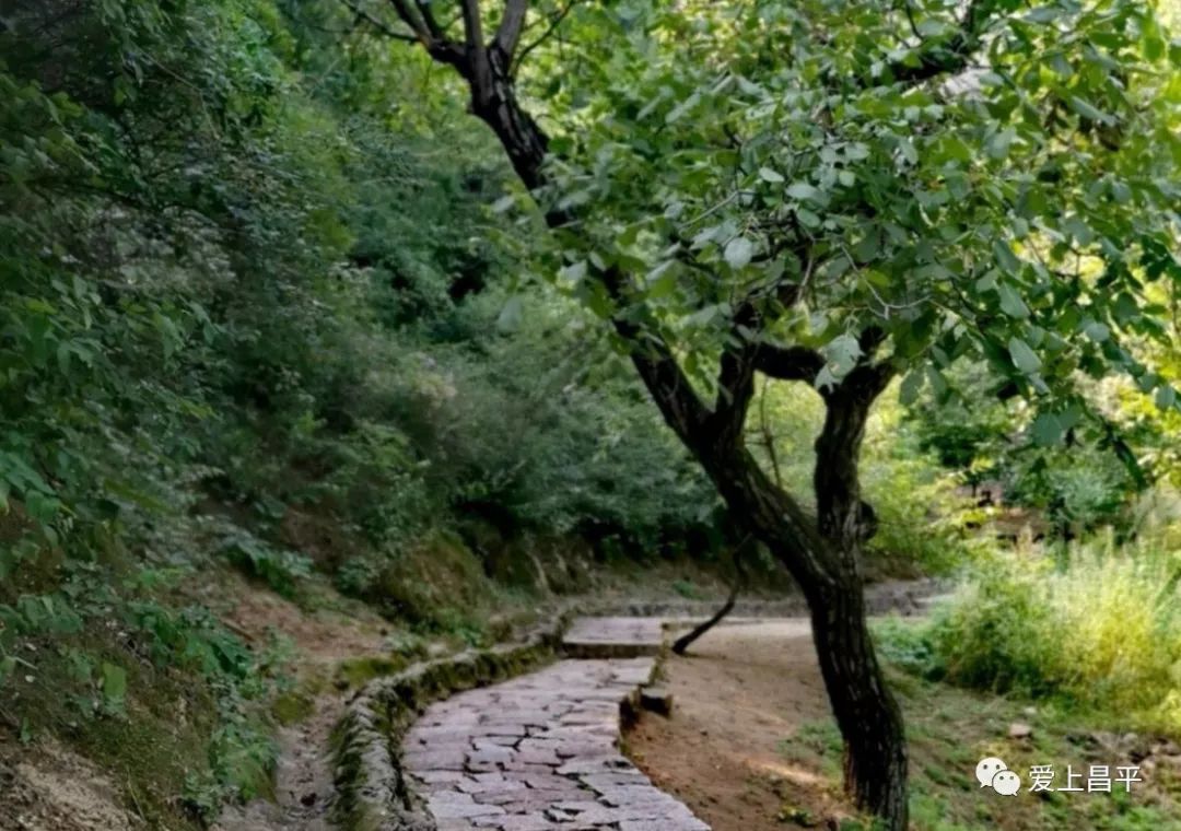 昌平自驾游京郊最佳好去处,北京昌平区冬季旅游