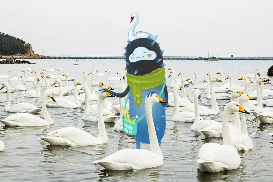 威海海钓攻略位置,威海有哪些海钓鱼种