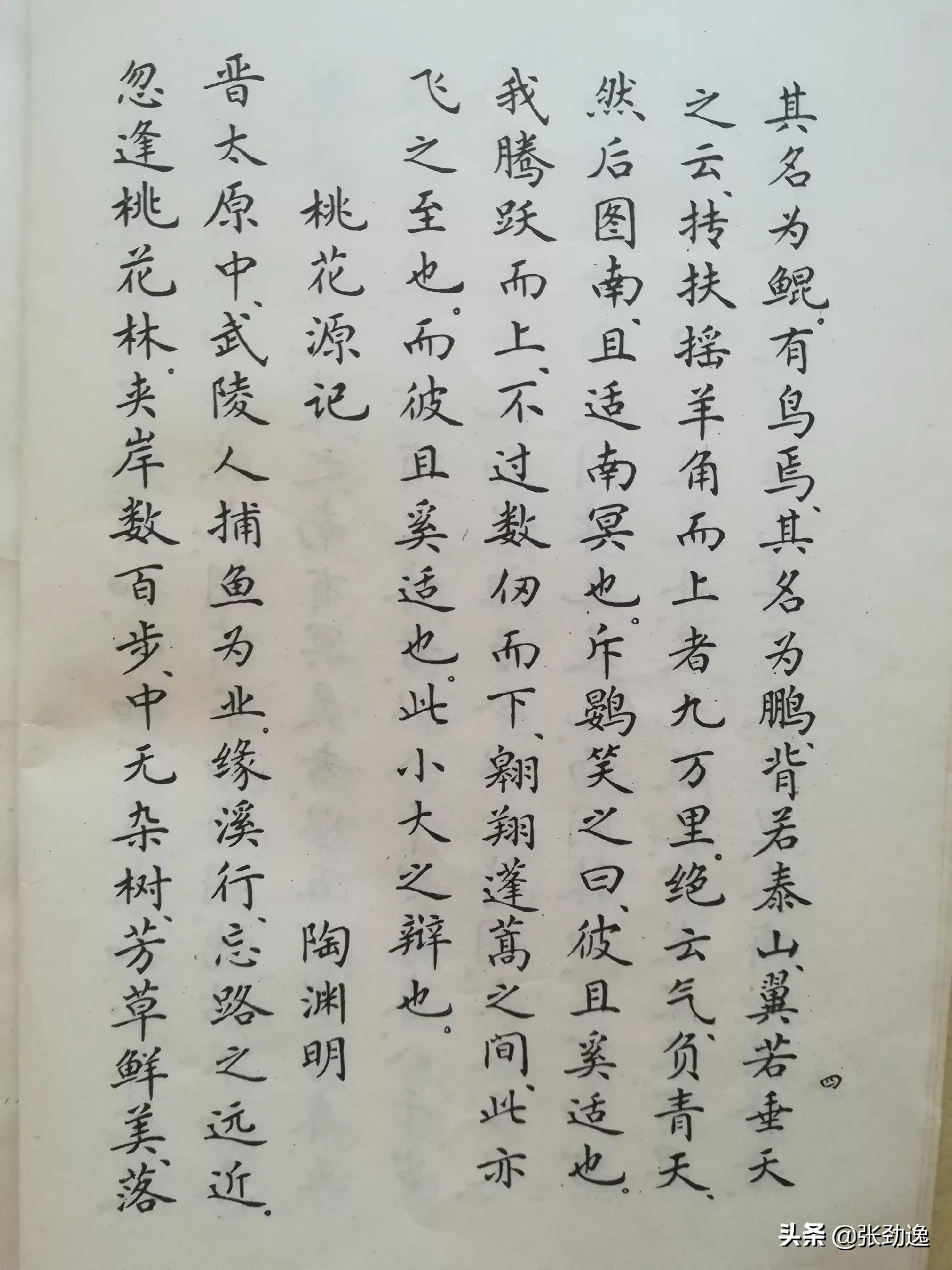 被称为草圣的东汉书法家是谁,当代草圣林散之先生作品及译文