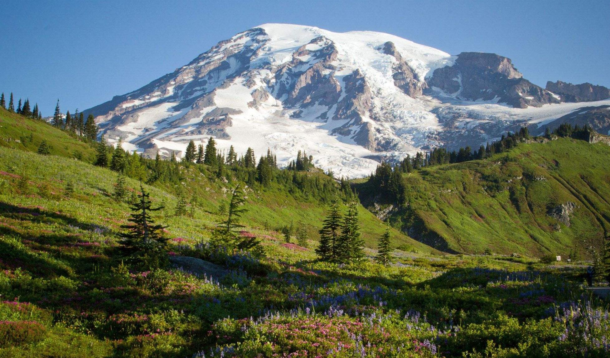 美国车牌为什么那么多图案,为什么有人取车牌