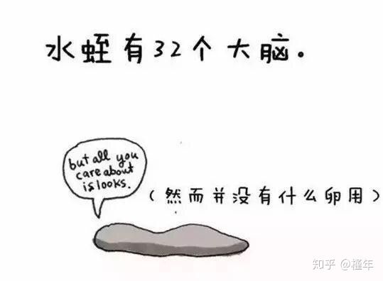 想象中不一样的动物冷知识,悲伤的动物视频