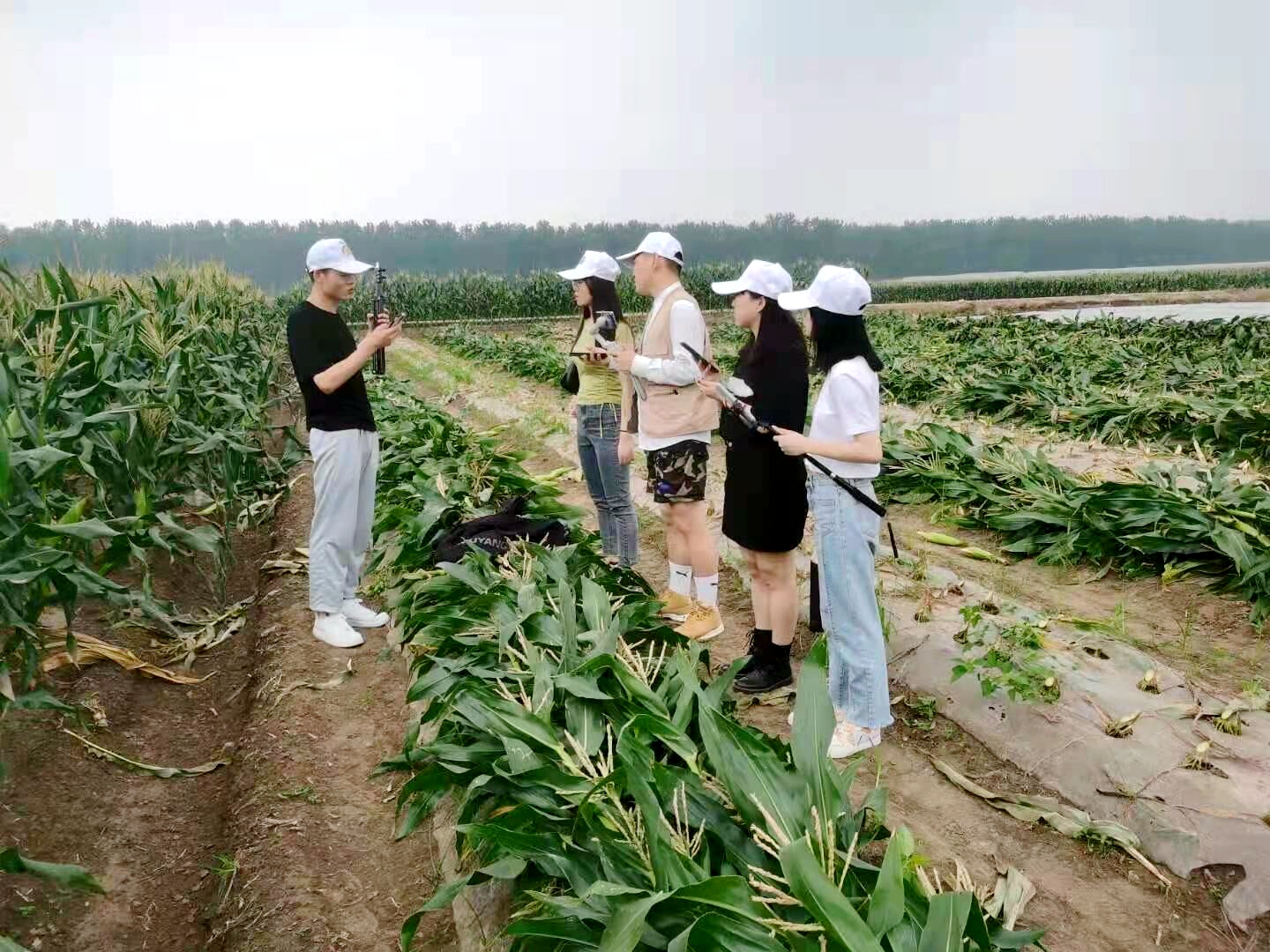 学校财经商务学院直播推介汉南甜玉米助力乡村振兴