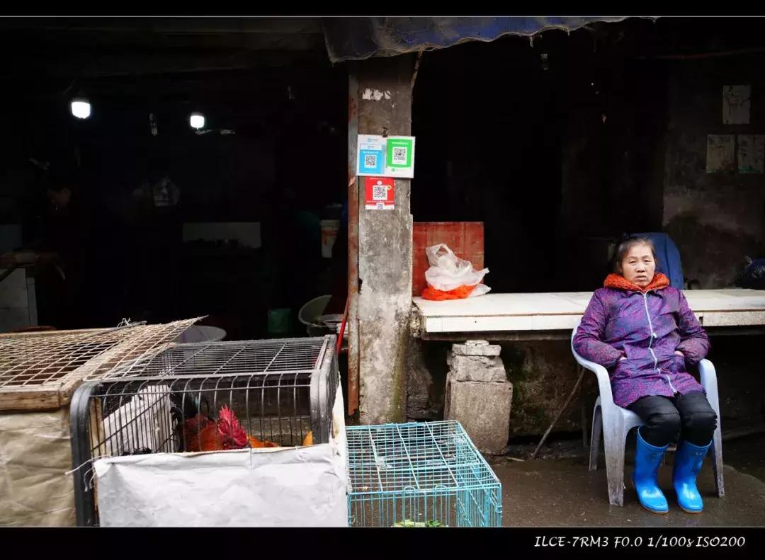 不到3000手机性价比高,3000以下超广角镜头推荐