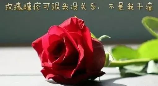 玫瑰糠疹如何治疗和注意事项,花斑糠疹和玫瑰糠疹有什么区别