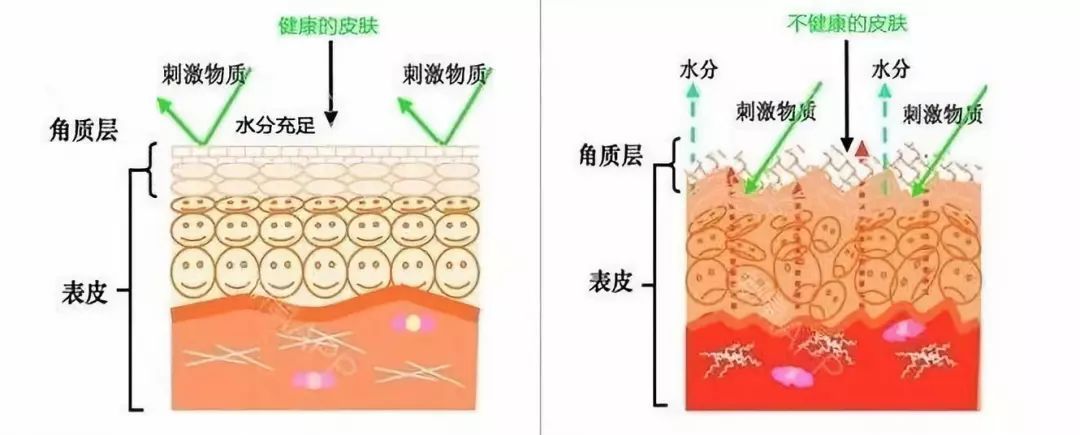 女明星护肤方法千万别跟风,明星护肤公认方法有哪些