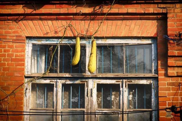 突然就想去旅游了,忽然间就想去厦门了