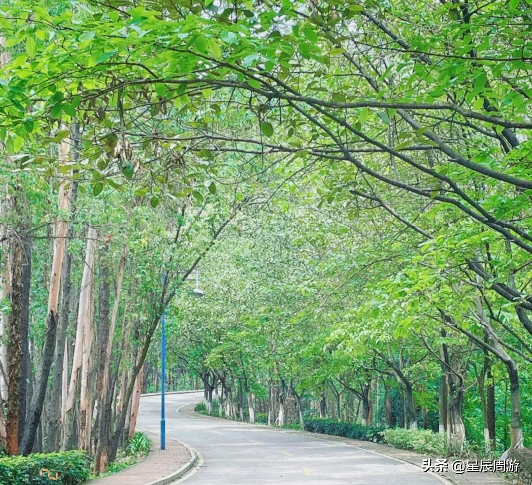 佛山三水又一加州风情温泉酒店，阳台直通泳池，网友：玩到不想走