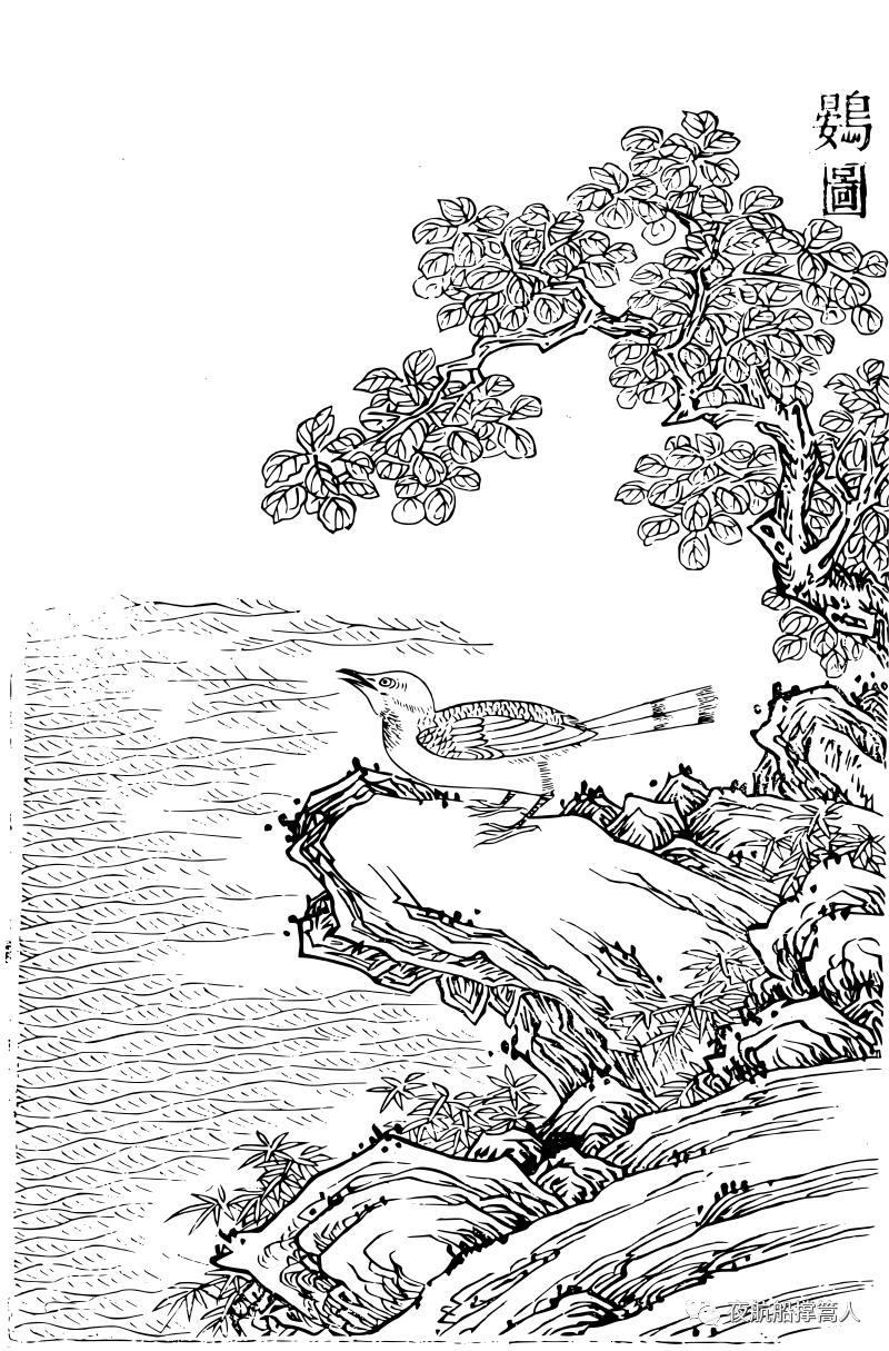 会七十二变的动物,会七十二变的八戒