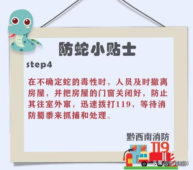 2米长蛇闯入房间,3米长蛇闯进浴室