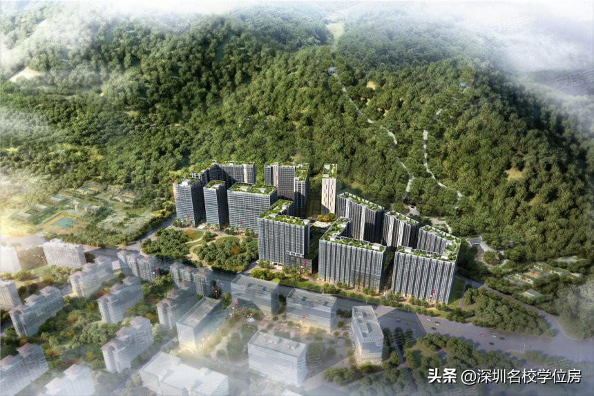 深圳对口学校,深圳9年一贯制直升学校的条件