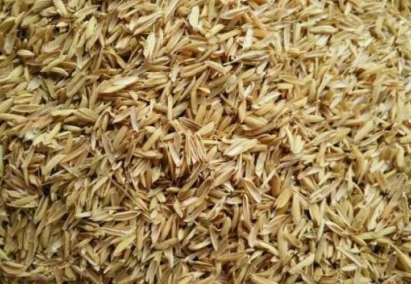 稻壳能否利用木炭机做机制炭,稻壳能做木炭机吗