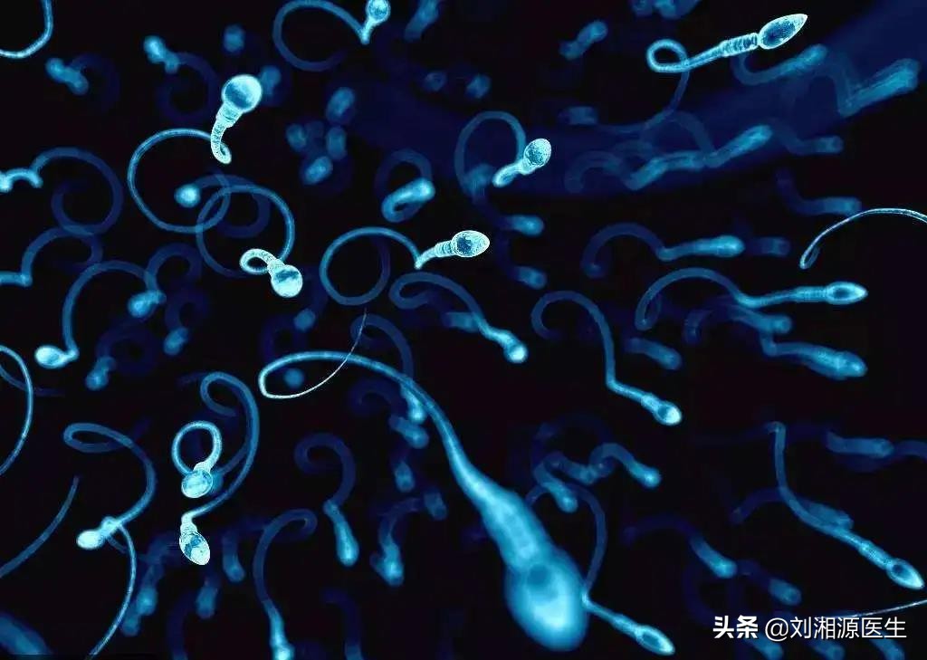 「免疫相关不良妊娠答疑解惑55」——复发性流产