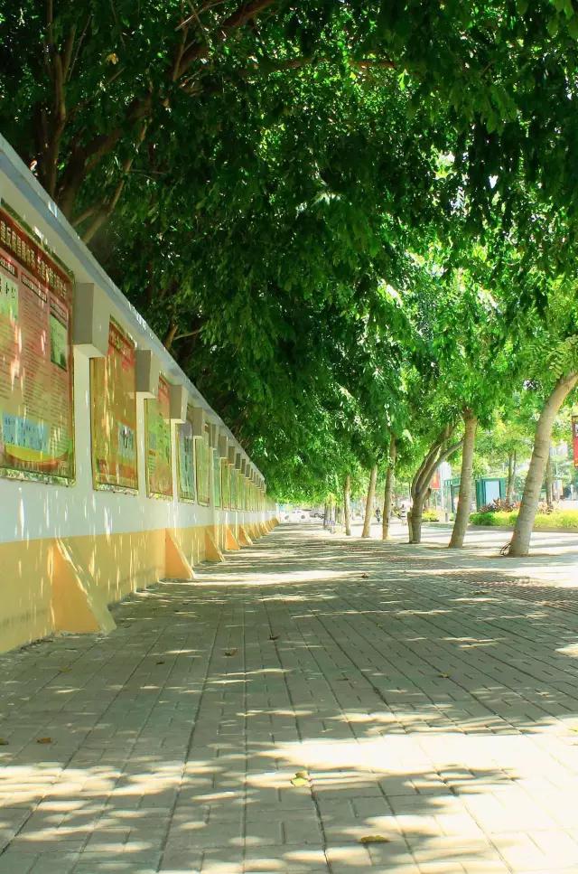 龙华最美高中,海口十大最有名的高中排行榜