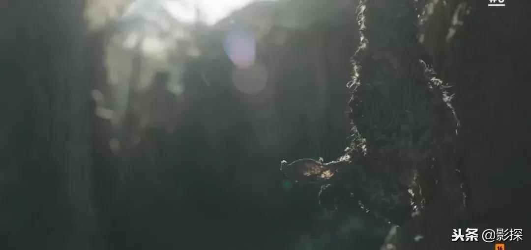 节操撕裂……我宣布,年度硬盘之王诞生了!