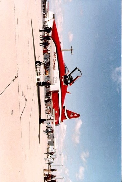 极富悲剧色彩的虎鲸,虎鲨悲剧