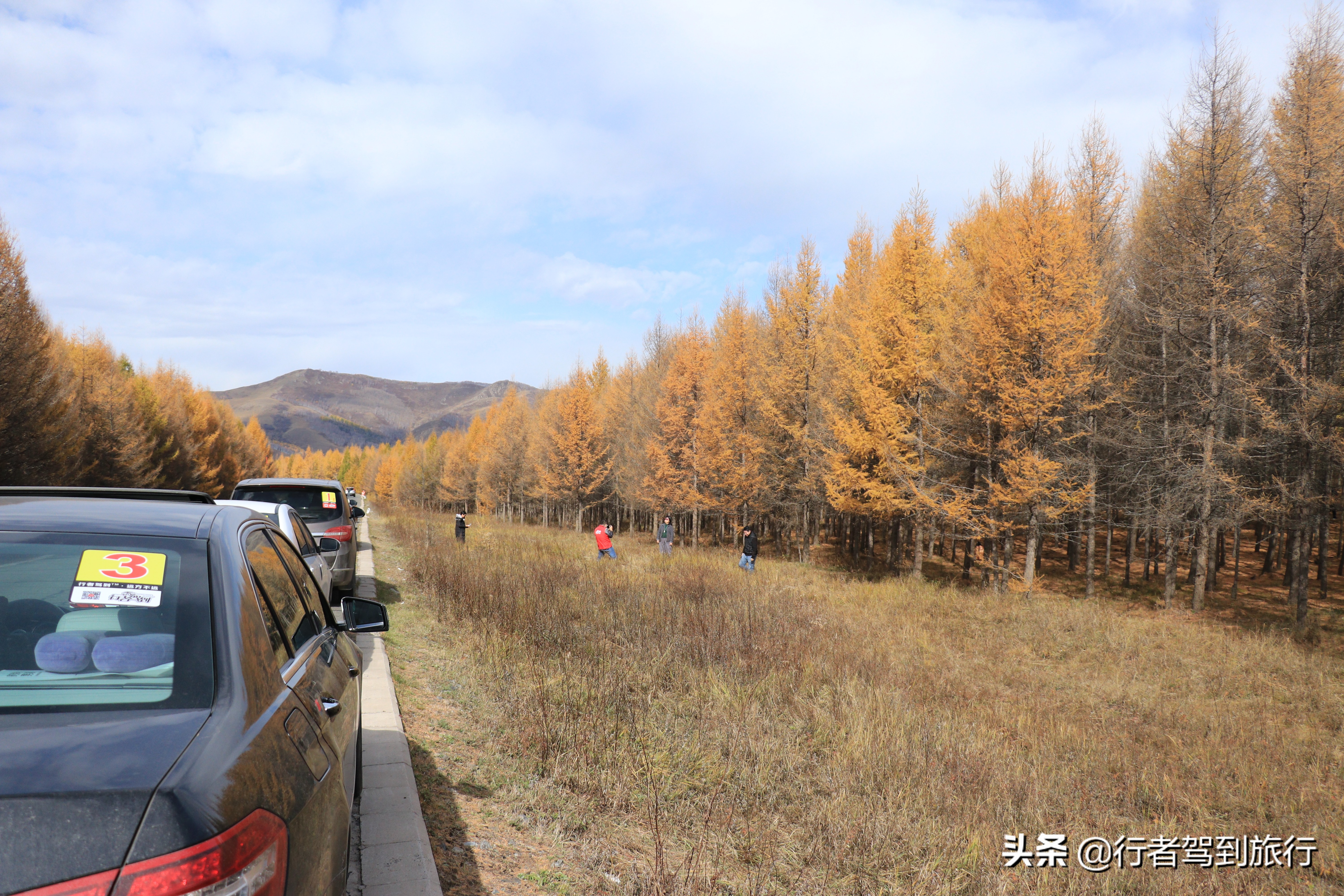 冬季克旗旅游自驾游攻略,克什克腾旗看秋色攻略