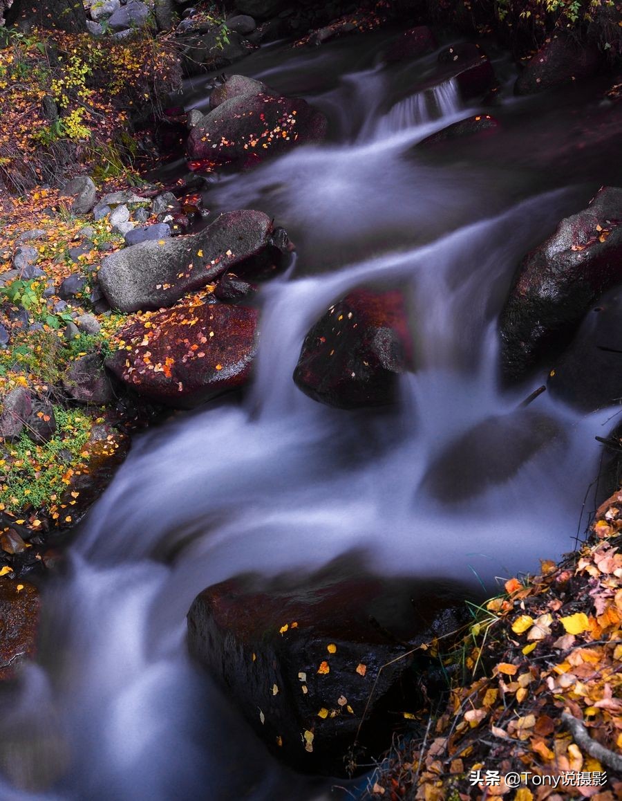 相机摄影教程和拍照技巧,摄影新手怎样选择一款相机拍照