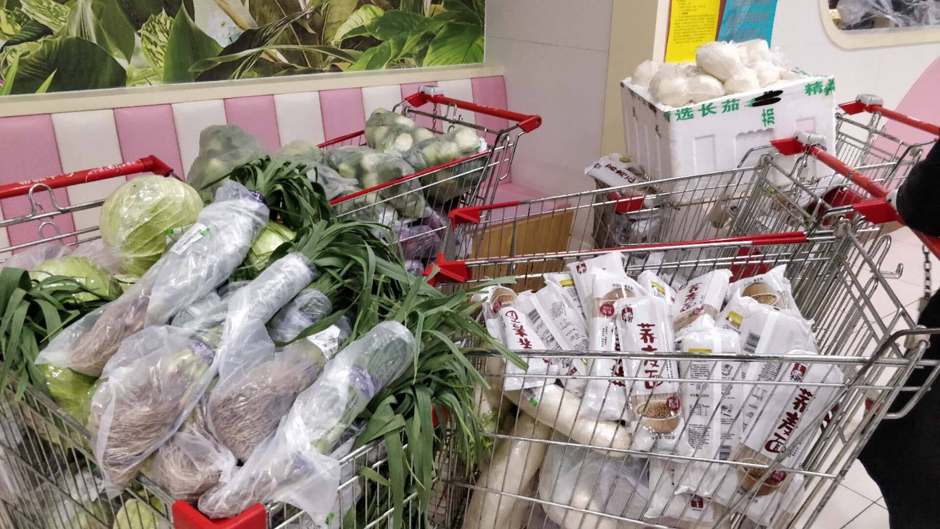 最温暖的家简介,最温暖的家园