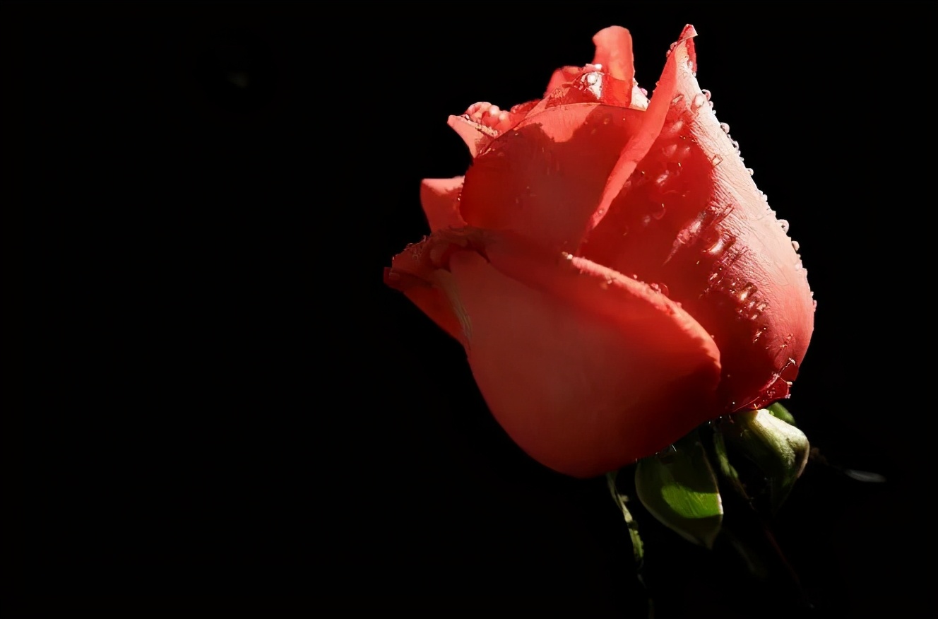 千万别碰，“雪球”早晚要出事