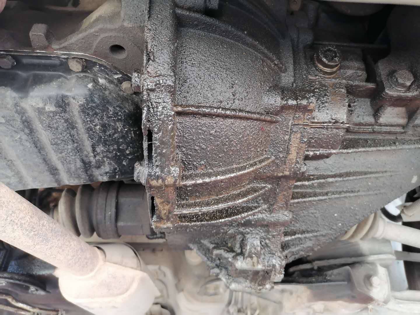 发动机漏油损伤皮带,发动机皮带断裂堵塞油底壳