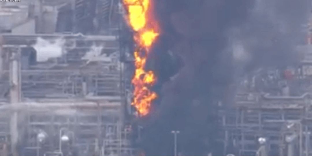 「避毒简讯」2019年07月-08月